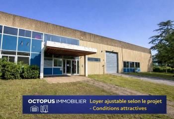 Location local d'activité Toulouse - Centre de Gros