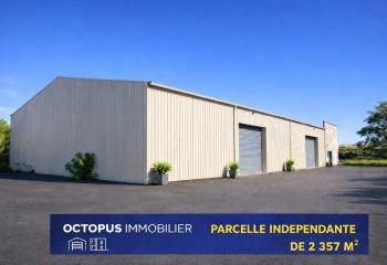 Vente local d'activité Colomiers - Zone En Jacca