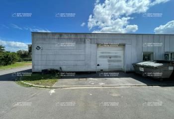 Location local d'activité Villeneuve-d'Ascq - La Pilaterie