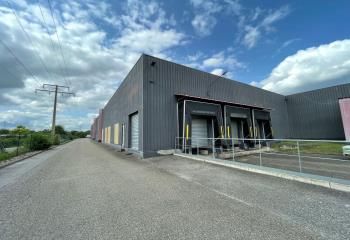 Location local d'activité Illkirch-Graffenstaden - ZI Sud - Proche portes à quai