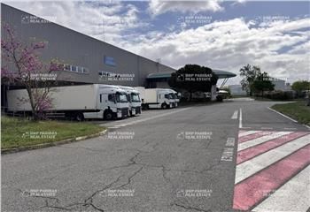 Location entrepôt Tournefeuille - ZAC de Pahin