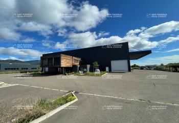 Local d'activité à louer Aspach-Michelbach - Hauteur 10 m