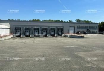 Messagerie à louer Wittenheim - Proche A36 et D430