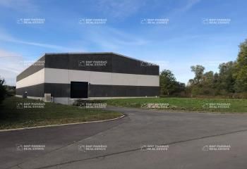 Location entrepôt Templeuve - Proche Lille, Douai, St Amand