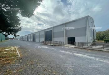 Location entrepôt Lesquin - Proche Lille
