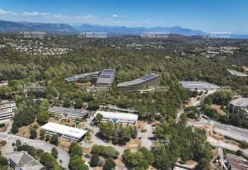 Location bureaux Biot - Sophia Antipolis campus tertiaire