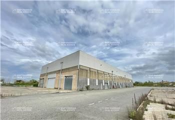 Location local d'activité Toulouse Basso Cambo - Proximité transports