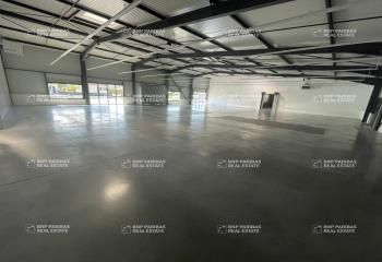 Location local d'activité Saint-Gilles - ZA du Gripail