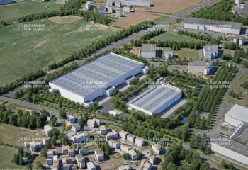 Vente entrepôt logistique Montaigu-Vendée