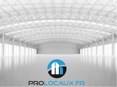 Interview d&rsquo;Anthony Lemonnier, gérant de Prolocaux