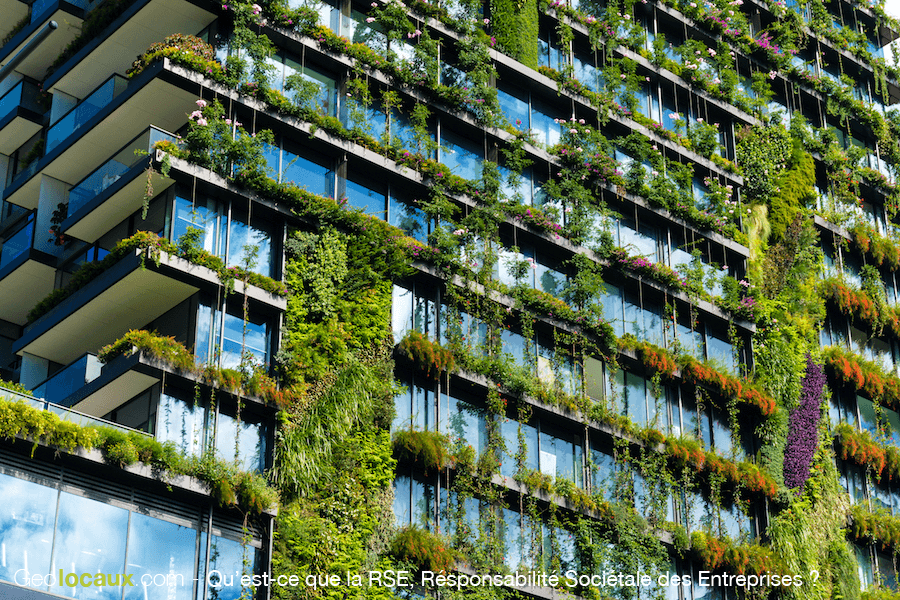 Qu'est-ce-que la RSE, Responsabilité Sociétale des Entreprises ?