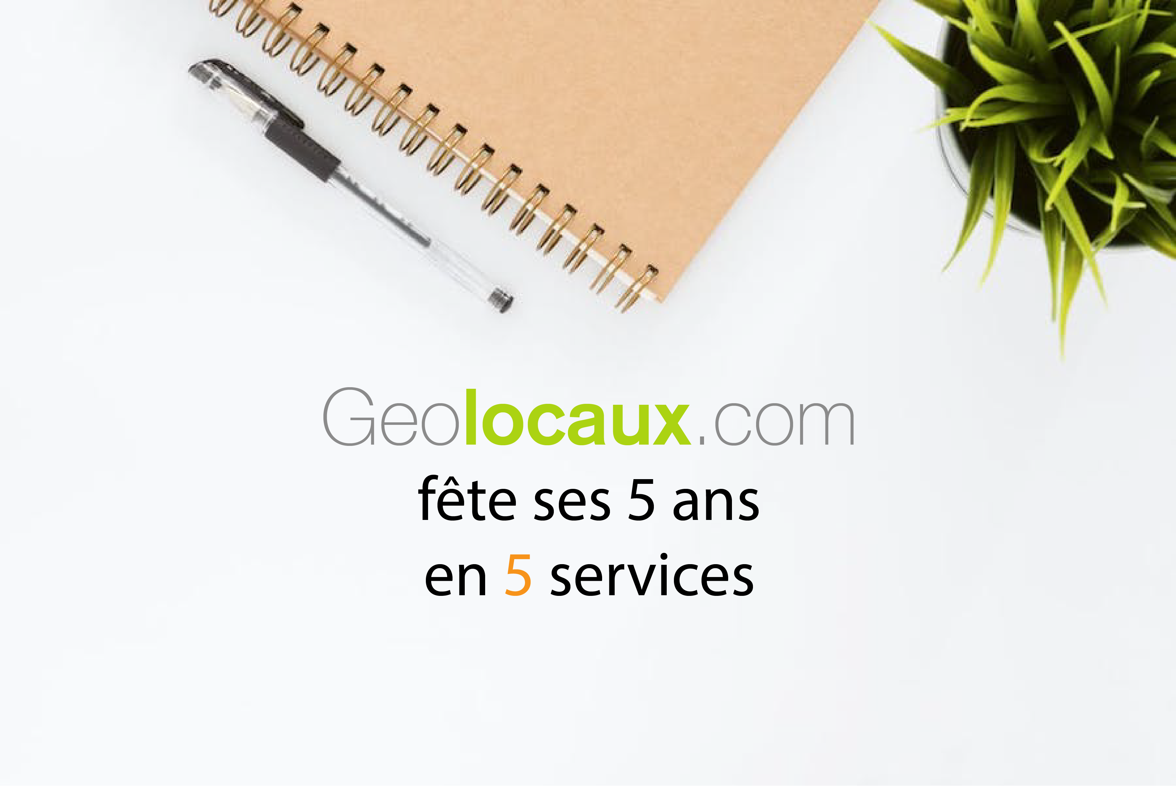 Geolocaux.com
