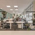 Coworking & bureaux flexibles à Bordeaux - 33000 photo - 3