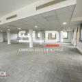 Location de bureau de 933 m² à Colombier-Saugnieu - 69124 photo - 3
