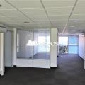 Location de bureau de 156 m² à Colomiers - 31770 photo - 3