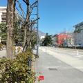 Location de bureau de 600 m² à Grenoble - 38000 photo - 2