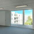 Location de bureau de 869 m² à Lyon 2 - 69002 photo - 11
