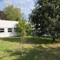 Location de bureau de 224 m² à Marcq-en-Baroeul - 59700 photo - 6