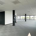Location de bureau de 810 m² à Mérignac - 33700 photo - 4