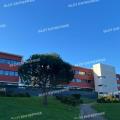 Location de bureau de 319 m² à Saint-Herblain - 44800 photo - 8
