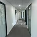 Location de bureau de 3 716 m² à Sophia Antipolis - 06560 photo - 5