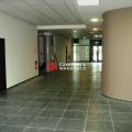 Location de bureau de 1 980 m² à Toulouse - 31000 photo - 5