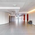 Location de bureau de 1 980 m² à Toulouse - 31000 photo - 12