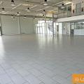Location de local commercial de 1 426 m² à Montauban - 82000 photo - 3