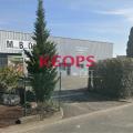 Location d'entrepôt de 382 m² à Beauzelle - 31700 photo - 2