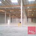 Location d'entrepôt de 8 771 m² à Castelnau-d'Estrétefonds - 31620 photo - 3