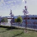 Location d'entrepôt de 700 m² à Chevigny-Saint-Sauveur - 21800 photo - 1