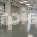 Location d'entrepôt de 381 m² à Chevilly-Larue - 94550 photo - 4