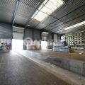Location d'entrepôt de 6 223 m² à Corbas - 69960 photo - 5
