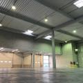 Location d'entrepôt de 534 m² à Élancourt - 78990 photo - 4
