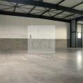 Location d'entrepôt de 539 m² à Frans - 01480 photo - 4