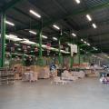 Location d'entrepôt de 3 698 m² à Genas - 69740 photo - 4