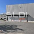 Location d'entrepôt de 4 600 m² à Lozanne - 69380 photo - 1