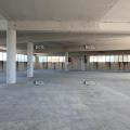 Location d'entrepôt de 1 688 m² à Marseille 15 - 13015 photo - 4
