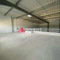 Location d'entrepôt de 348 m² à Mondouzil - 31850 photo - 5