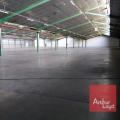 Location d'entrepôt de 9 500 m² à Montauban - 82000 photo - 3