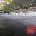 Location d'entrepôt de 9 500 m² à Montauban - 82000 photo - 4