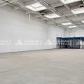 Location d'entrepôt de 2 153 m² à Rungis - 94150 photo - 6