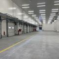 Location d'entrepôt de 3 705 m² à Thiais - 94320 photo - 3