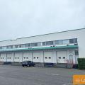 Location d'entrepôt de 4 566 m² à Toulouse - 31000 photo - 4