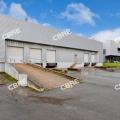 Location d'entrepôt de 8 047 m² à Wissous - 91320 photo - 3