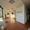 Achat de bureau de 204 m² à Illkirch-Graffenstaden - 67400 photo - 2