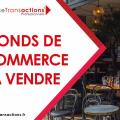Fonds de commerce café hôtel restaurant en vente à Toulouse - 31000 photo - 1