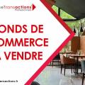 Fonds de commerce commerces alimentaires en vente à Toulouse - 31000 photo - 1