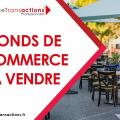 Fonds de commerce café hôtel restaurant en vente à Toulouse - 31000 photo - 2