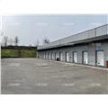 Entrepôt en vente de 2 411 m² à Brinckheim - 68870 photo - 2